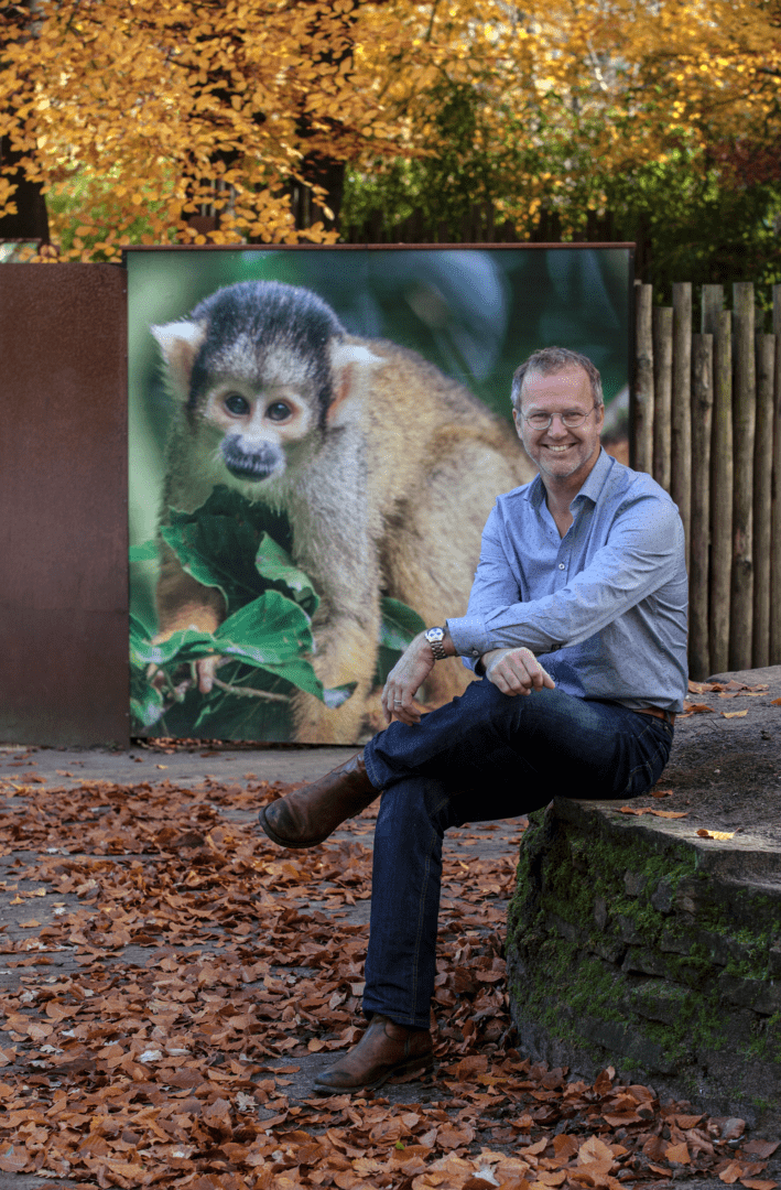Gedragsbioloog Patrick van Veen (witte man in blauw overhemd en donkere broek) zit lachend buiten in een herfstige omgeving bij een poster met een doodshoofdaapje erop. 